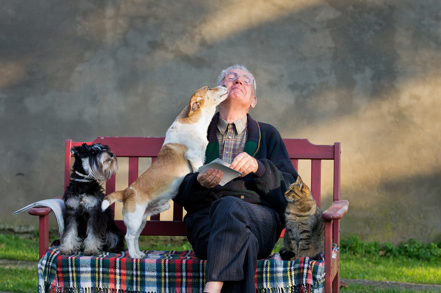 Man sitting on park bench with 2 small dogs and a cat. Credit: Jevtic